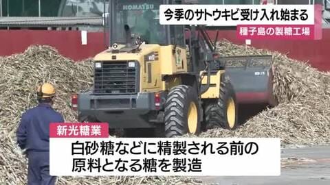 白砂糖などの原料に　種子島の製糖工場でサトウキビの受け入れ始まる・鹿児島