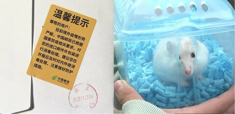 感染ルートは国際郵便とハムスター?! 中国が死守する薄氷の“ゼロコロナ”