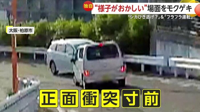 正面衝突寸前で停止した車2台(提供:@MDL‗1994‗T)