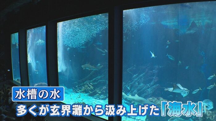 マリンワールド海の中道（福岡市東区）