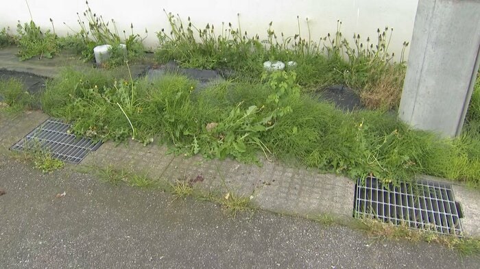 女性がクマに襲われた現場（富山市森）