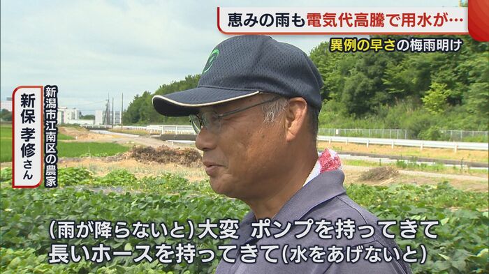 農家 新保孝修さん
