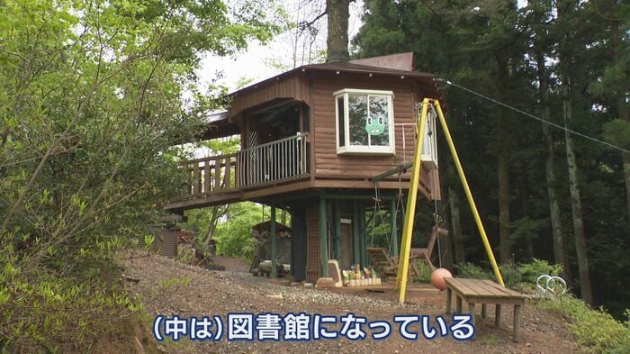 トガノキを柱にしたツリーハウス