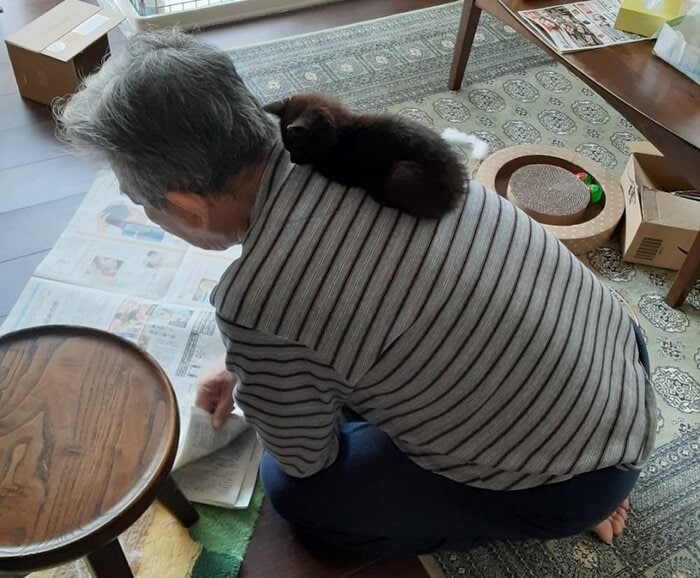 父親の肩の上でくつろぐ黒い子猫