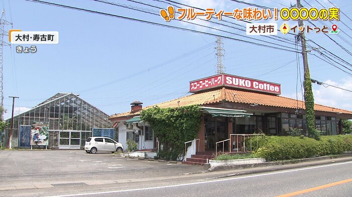 観光農園があるスコーコーヒーパーク