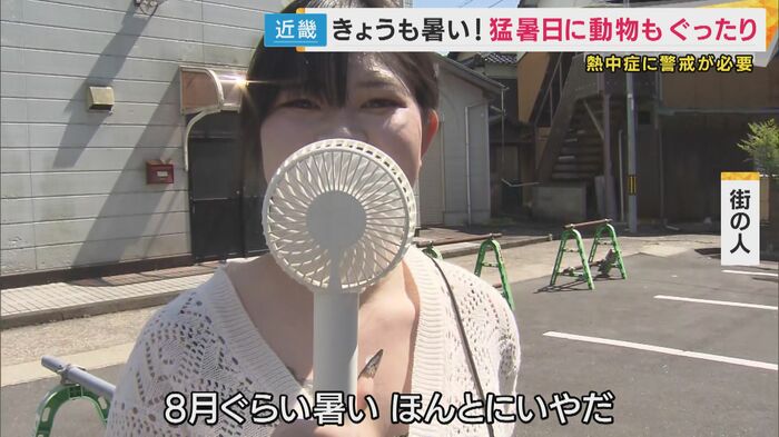 「8月ぐらい暑い。ほんとにいやだ」
