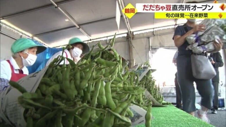 甘みとコクの強さで全国的人気・特産「だだちゃ豆」直売所オープン 小真木・甘露・白山…朝採れの新鮮なものだけを販売【山形発】｜FNNプライムオンライン