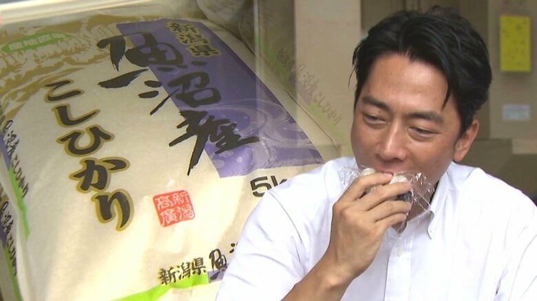 “5kg3000円台”へ…石破政権の命運握る小泉進次郎農水相 スーパーや消費者も“随意契約”に期待「庶民にも回ってくるのでは」｜FNNプライムオンライン