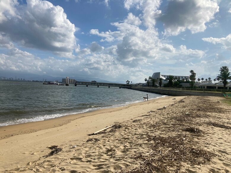 博多湾で発見の切断右足と上半身遺体　成人で同一人物の可能性高いと判明　死因特定には至らず　身元の確認急ぐ　福岡｜FNNプライムオンライン
