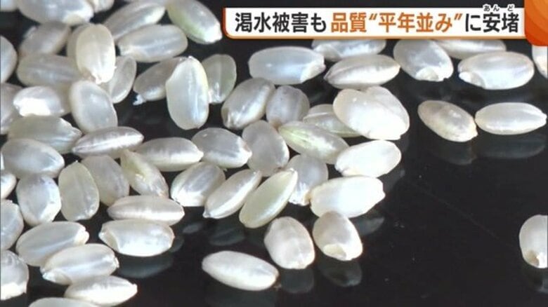 “平年並み”の半数が一等米に！渇水被害の新潟・上越市で新米検査「頑張っていただいた結果」 安堵の一方“収量”には懸念も｜FNNプライムオンライン