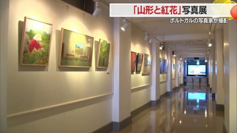 ポルトガル出身写真家が捉えた地域の暮らしと紅花の美しさ　山形市で開催された紅花写真展【山形発】｜FNNプライムオンライン