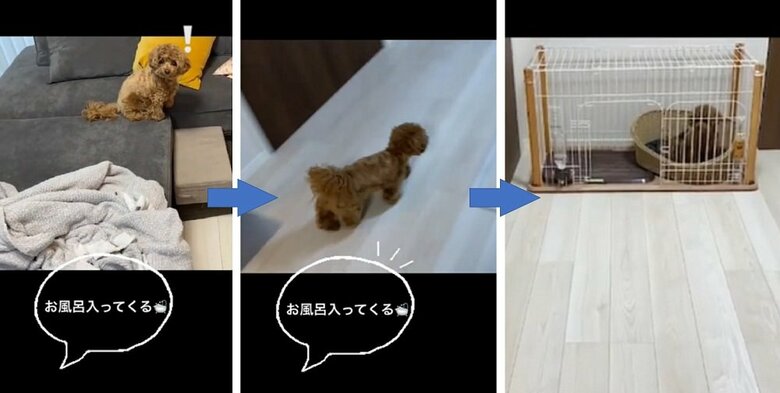 「お風呂入ってくる」にも反応する