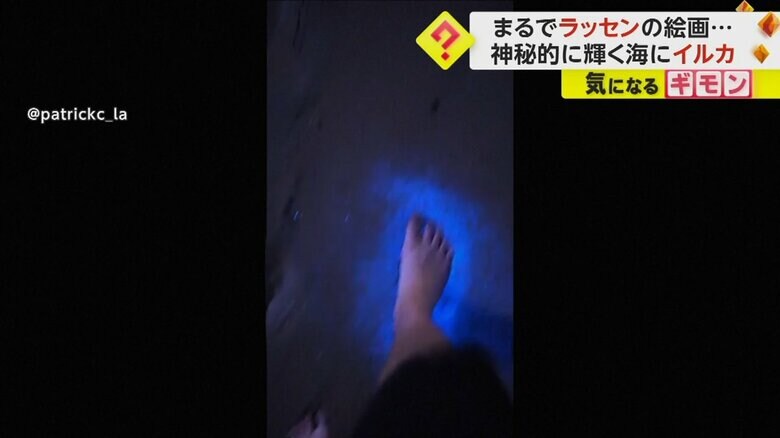 歩くと、踏んだ箇所の砂浜が光る