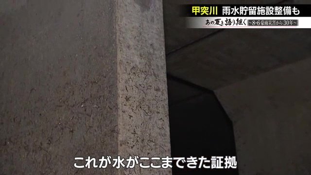 芝のようなものがついており、このあたりまで水がきたことがわかる