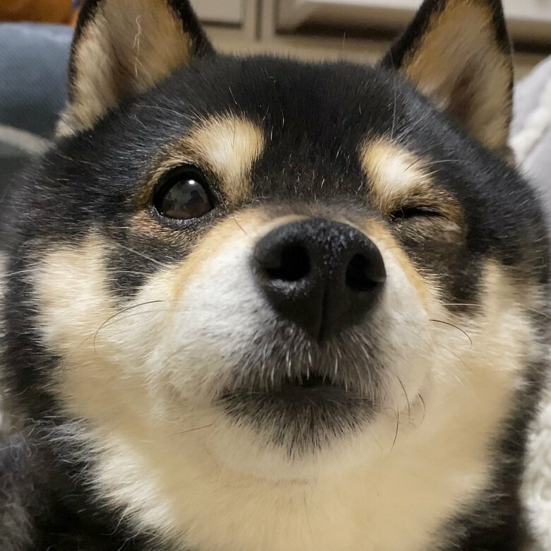 ウインクもする