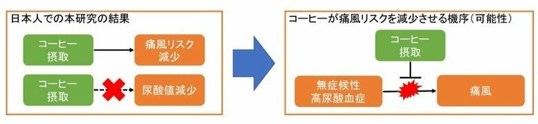 調査で分かったことの概要（提供：研究グループ）