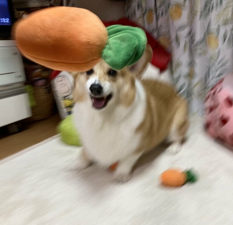 回収されたタオルのことは記憶のかなたへ…