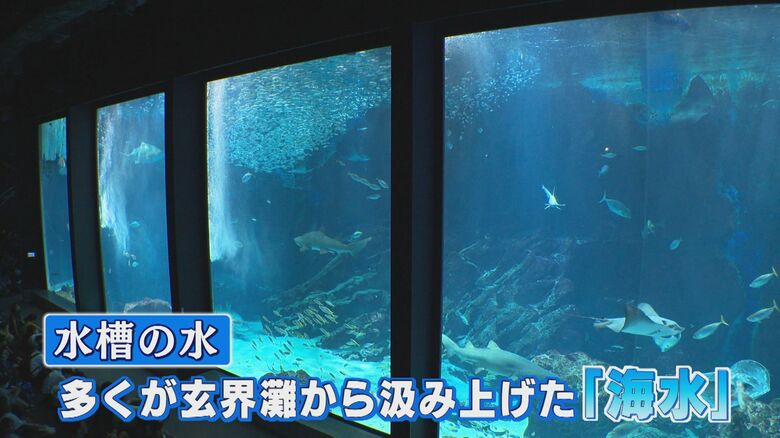 マリンワールド海の中道（福岡市東区）