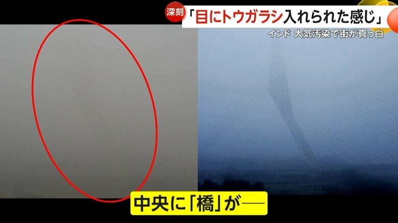 視界を遮られ、何もないように見える中央に架かる大きな橋