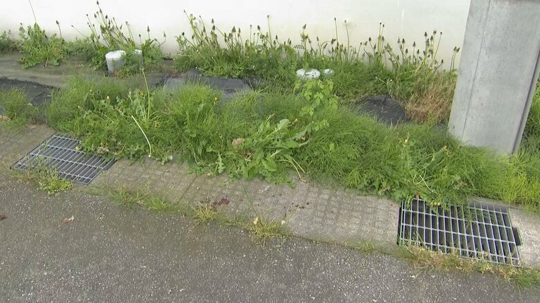 女性がクマに襲われた現場（富山市森）