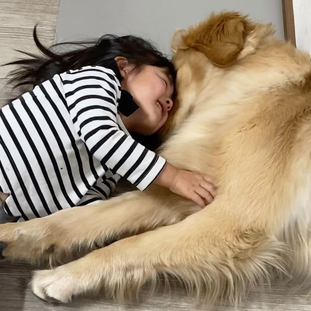 提供：西村 まひろさん