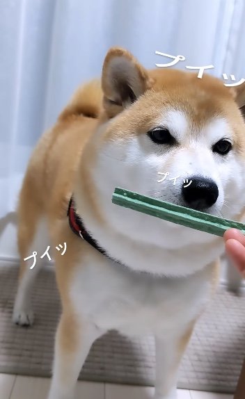 提供：natsumi.nnnさん