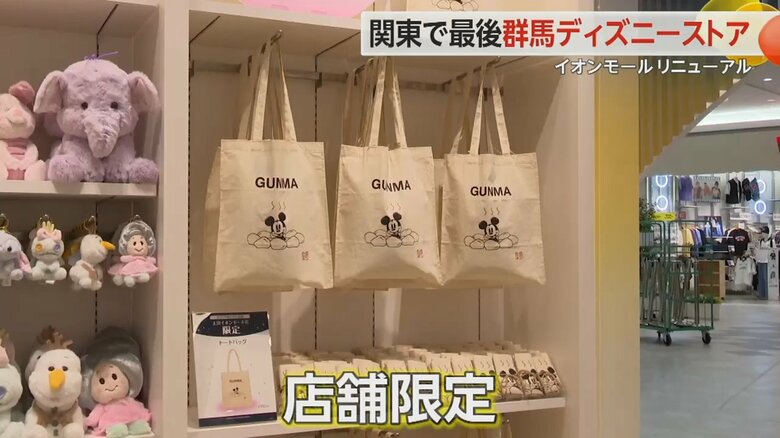 群馬県のディズニーストアで限定販売されたトートバッグ