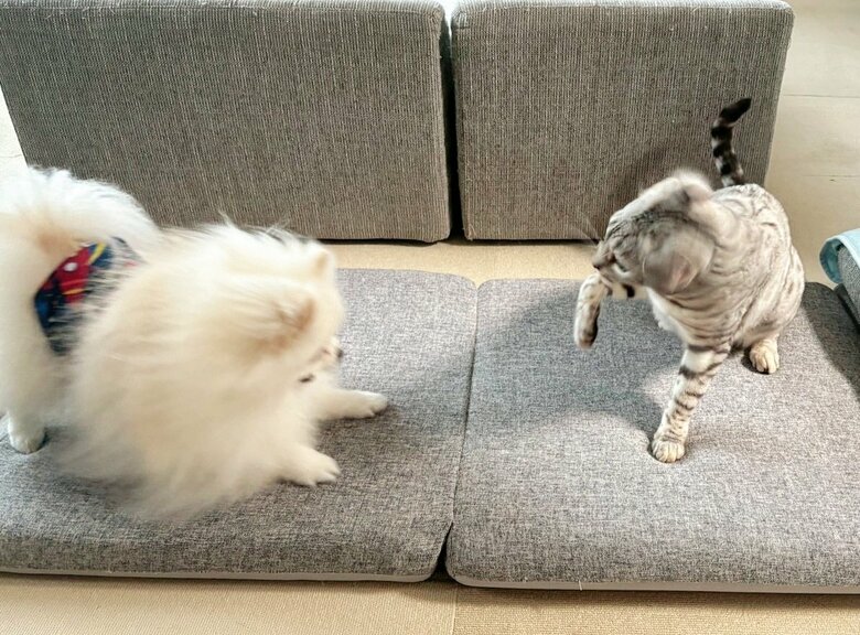 その後も続く戦い