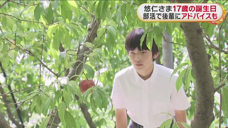 バドミントン部で下級生にアドバイスされたり、友人たちと授業の課題の解き方を教え合ったりされているという