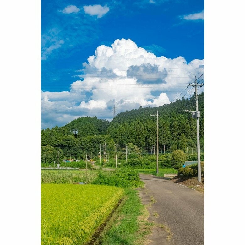 栃木県日光市（2023年8月撮影）
