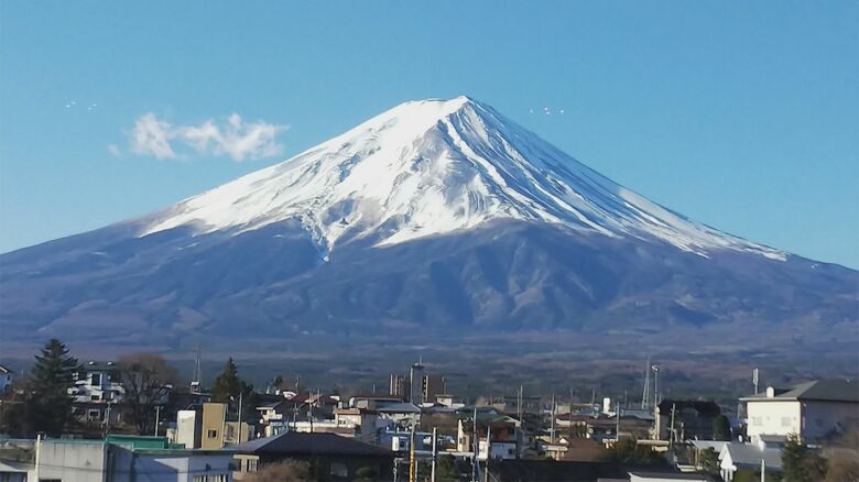小出さんが撮影した写真