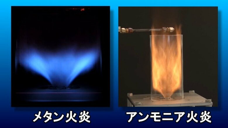 メタン火炎とアンモニア火炎の比較　写真：科学技術振興機構