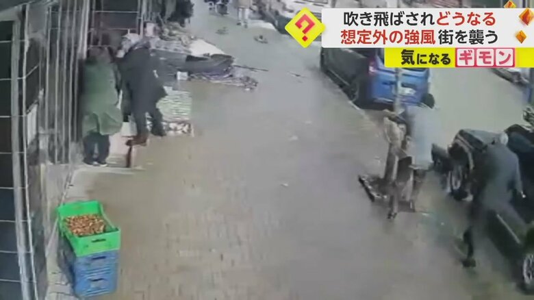 強風にあおられながら、街路樹にしがみつく瞬間④