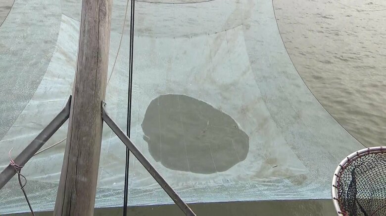 引き上げの様子