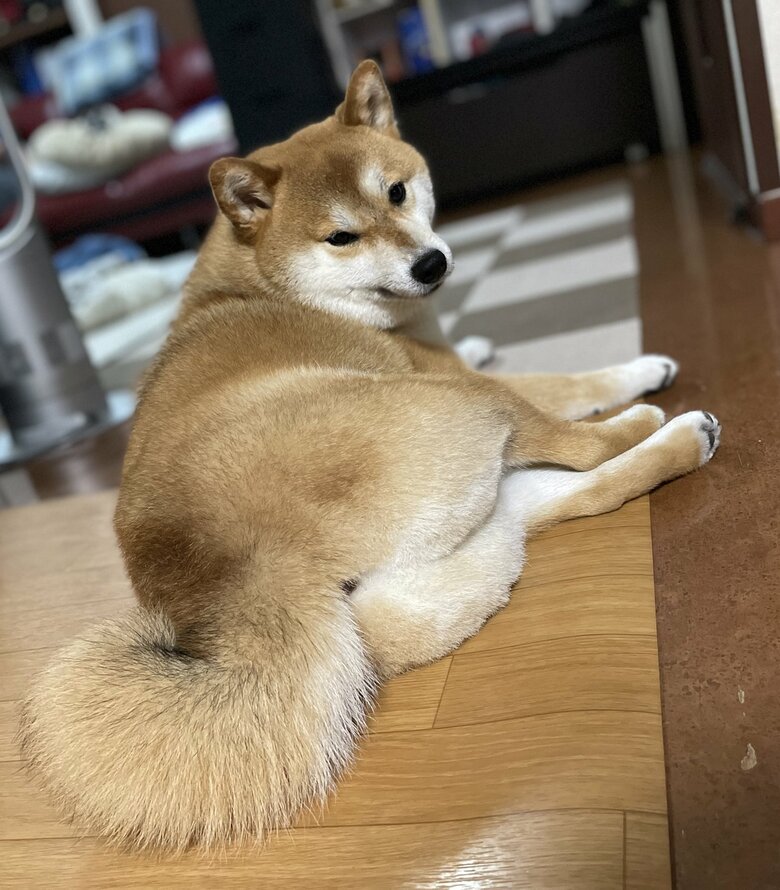 提供：うにさん