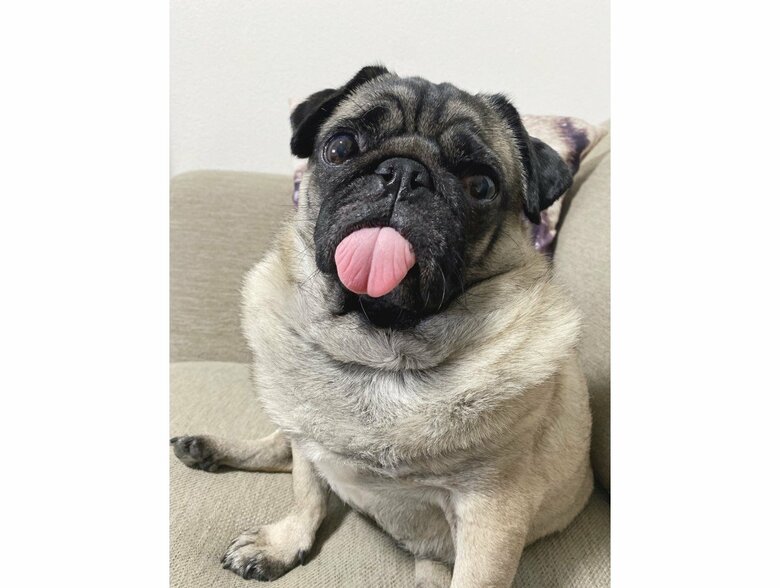 提供：ボンさん