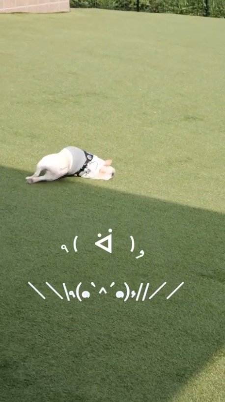 提供：むぎさん