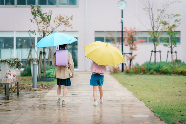 提供：株式会社ハシモト