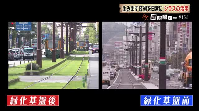 緑化基盤の導入で軌道敷の美観が向上した