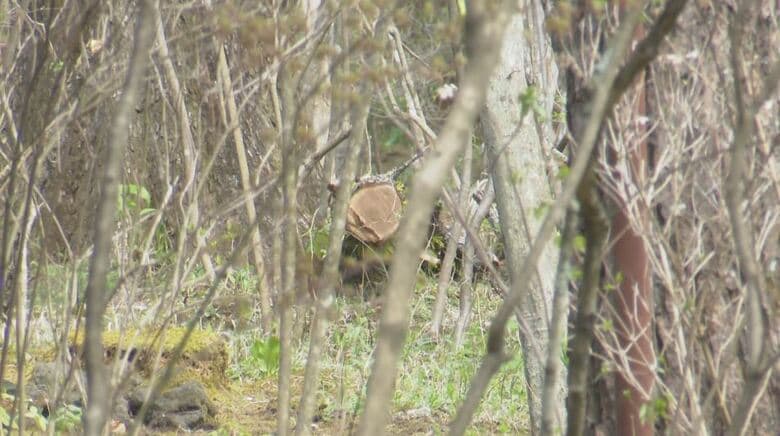 事故現場の別荘地