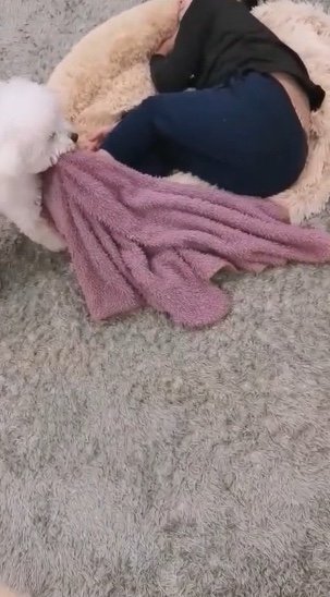 提供：エマ emmaさん