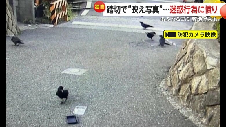 観光客が捨てていったとみられるビニール袋をカラスがつつきゴミが散乱