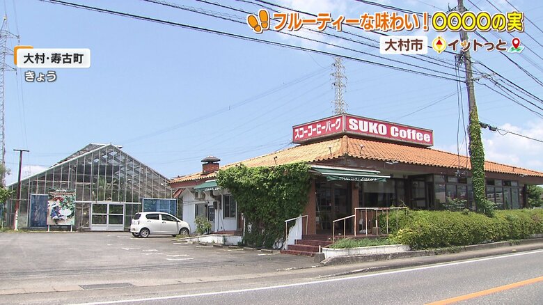 観光農園があるスコーコーヒーパーク