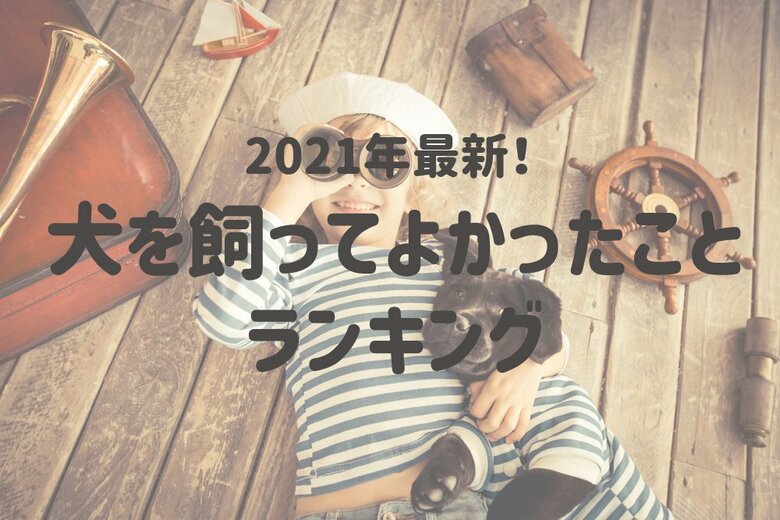 【嬉しいことたくさん】犬を飼ってよかったこと第一位は32.8%が『癒やされる』と回答