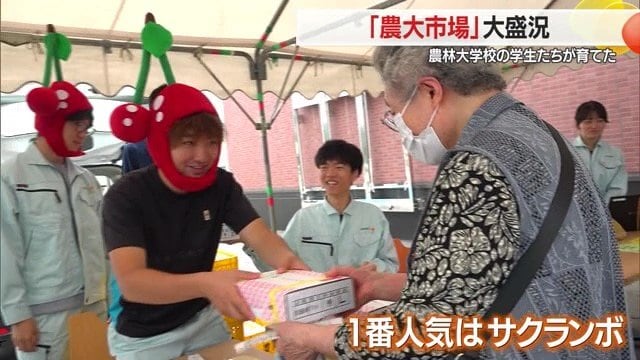 真っ赤に実ったサクランボが飛ぶように売れる