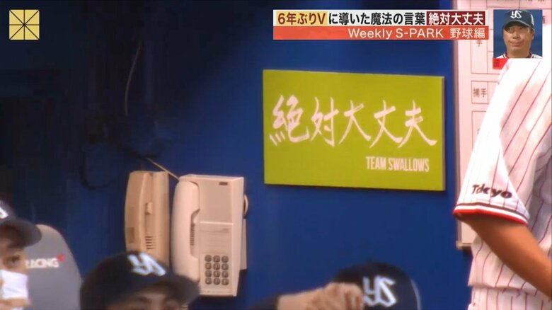 ベンチには「絶対大丈夫」の掲示も