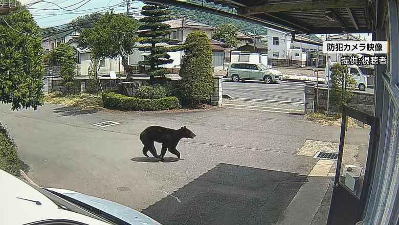 防犯カメラの映像（提供：視聴者）