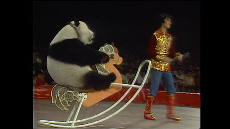 木馬に乗るウェイウェイ