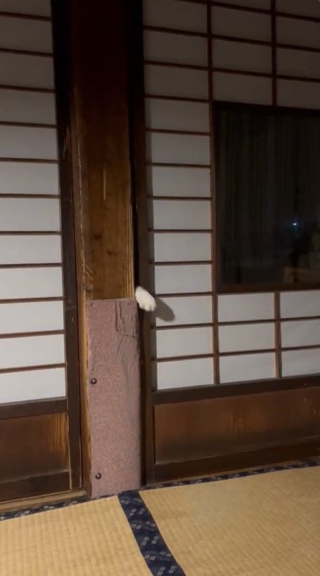 提供：いのうえもんぺさん