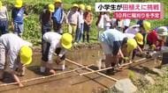 小学生が田植えに挑戦　10月に稲刈りを予定